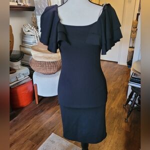 Vizio Black Midi Dress with Ruffle Sleeves